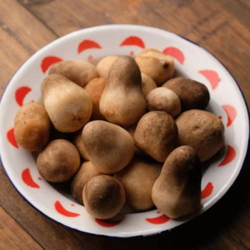 Sử Dụng Nấm Rơm Thường Xuyên Liệu Có Tốt Hay Không? Những Lưu Ý Khi Sử Dụng Nấm Rơm